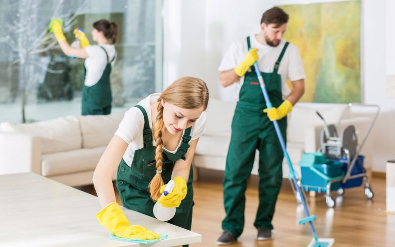 Flexible Cleaning Plans